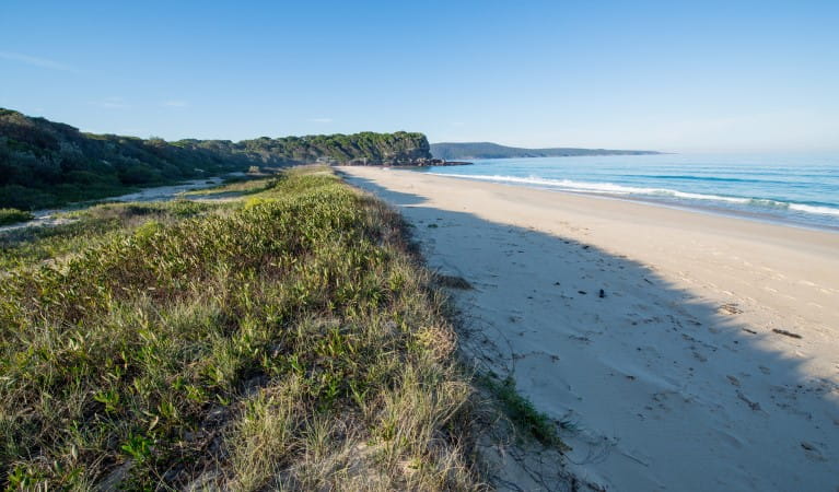 Wonboyn Beach in Nadgee Nature Reserve. Photo: John Spencer &copy; OEH
