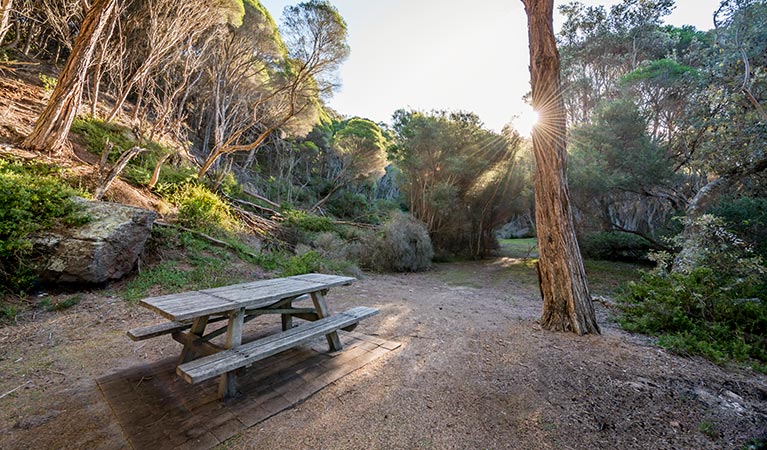 Greenglade picnic area, Nadgee Nature Reserve. Photo: John Spencer