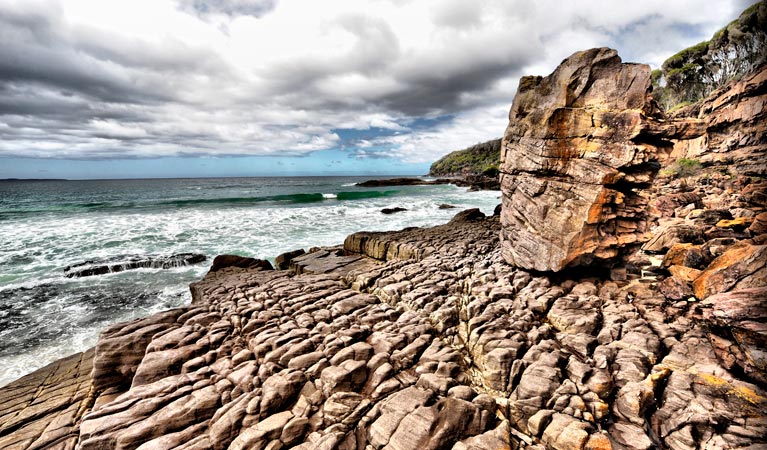 Greenglade picnic area, Nadgee Nature Reserve. Photo. Lyn Evans