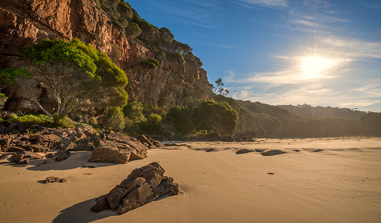 Greenglade picnic area, Nadgee Nature Reserve. Photo: John Spencer