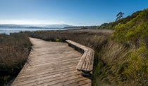 Jewfish walk, Nadgee Nature Reserve. Photo: John Spencer &copy; OEH