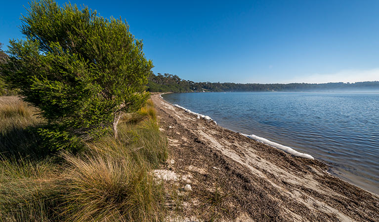 Jewfish walk, Nadgee Nature Reserve. Photo: John Spencer &copy; OEH