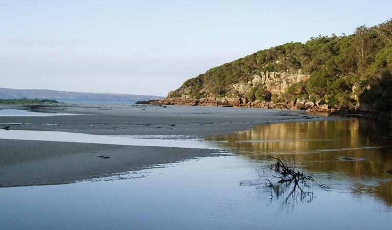 Merrica River nature trail, Nadgee Nature Reserve. Photo: L Evans.