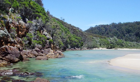 Merrica River nature trail, Nadgee Nature Reserve. Photo: Craig Campbell.