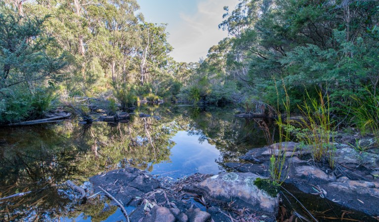 Merrica River nature trail in Nadgee Nature Reserve. Photo: John Spencer &copy; OEH