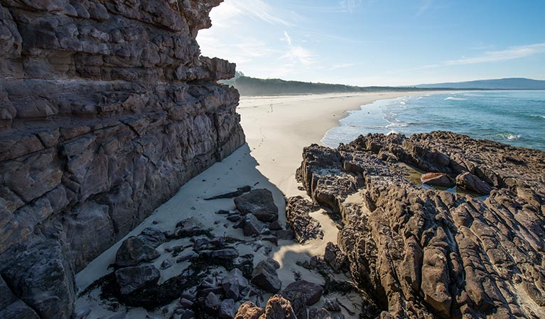 Greenglade, Nadgee Nature Reserve. Photo: J Spencer/OEH.