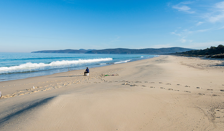 Wonboyn Beach, Nadgee Nature Reserve. Photo: John Spencer &copy; OEH