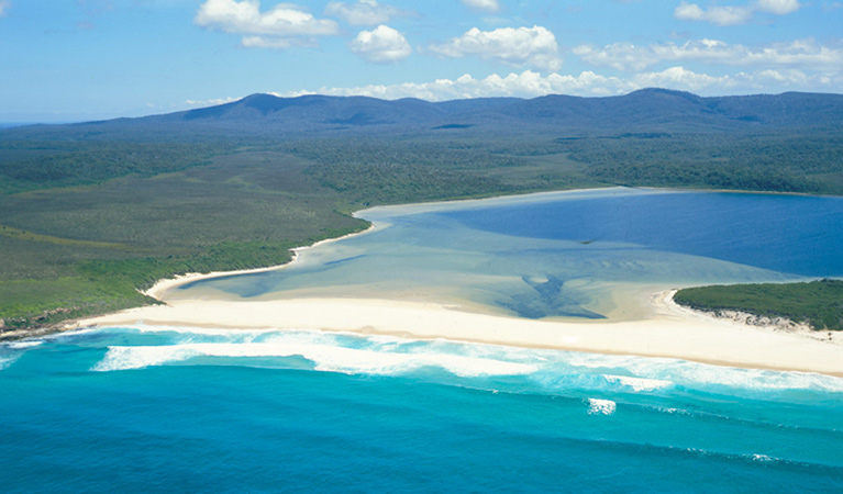 Nadgee Wilderness walk, Nadgee Nature Reserve. Photo: Tom Gray.