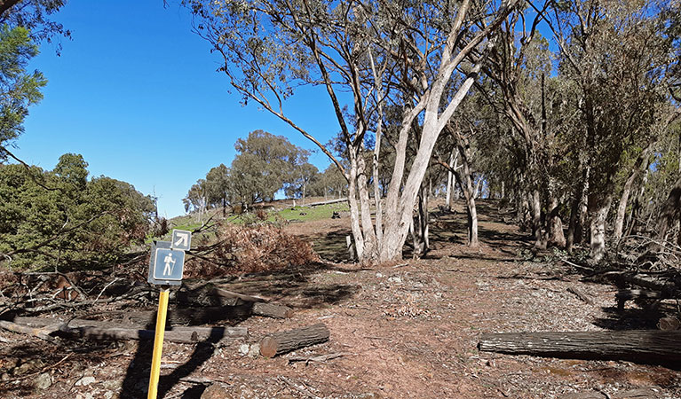 Partly wooded hillside with walking track and park signage along Chinamans Garden walking track. Photo: Claire Davis &copy; DPIE