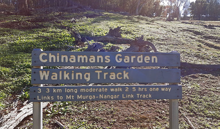Park signage for Chinamans Garden walking track set on a grassy clearing with woodland in the background. Photo: Claire Davis &copy; DPIE