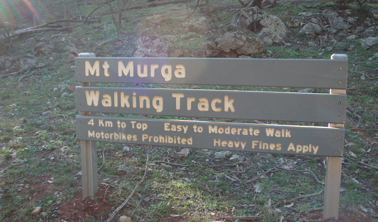 Mount Murga walking track, Nangar National Park. Photo: Amanda Lavender &copy; OEH
