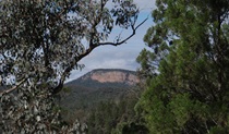 Mount Murga walking track, Nangar National Park. Photo: Amanda Lavender &copy; OEH