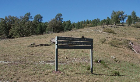 Mount Nangar walking track, Nangar National Park. Photo: Amanda Lavender &copy; OEH