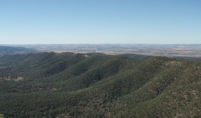 Mount Nangar walking track, Nangar National Park. Photo: Amanda Lavender &copy; OEH