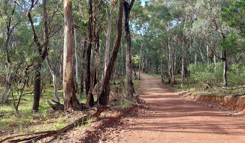  A flat, red dirt section of Nangar horse riding trails. Credit: Jen Dodson/DCCEEW