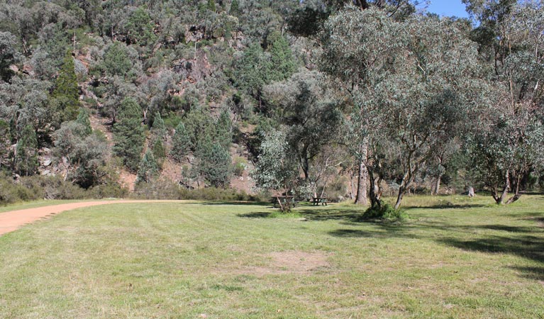 Terrara Creek campground and picnic area, Nangar National Park. Photo: K Edwards/NSW Government