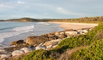 Burrawang track, Narrawallee National Park. Photo: Michael van Ewijk &copy; OEH