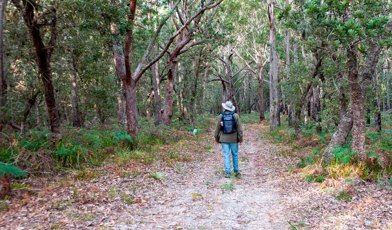 Narrawallee Inlet walking track, Narrawallee National Park. Photo: Michael van Ewijk &copy; OEH