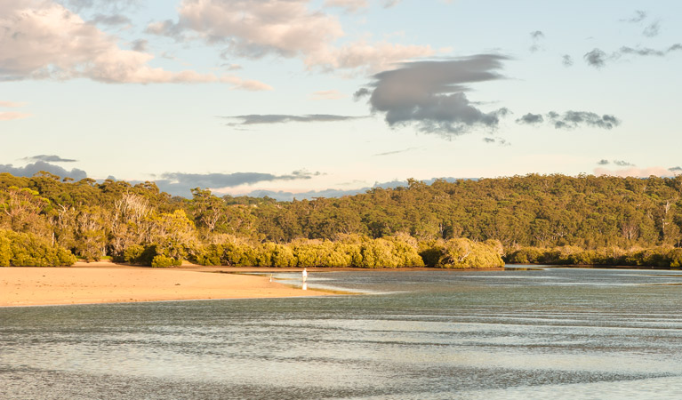 Narrawallee Inlet walking track, Narrawallee National Park. Photo: Michael van Ewijk &copy; OEH