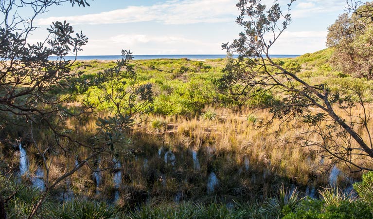 Narrawallee National Park. Photo: Michael van Ewijk &copy; DPIE