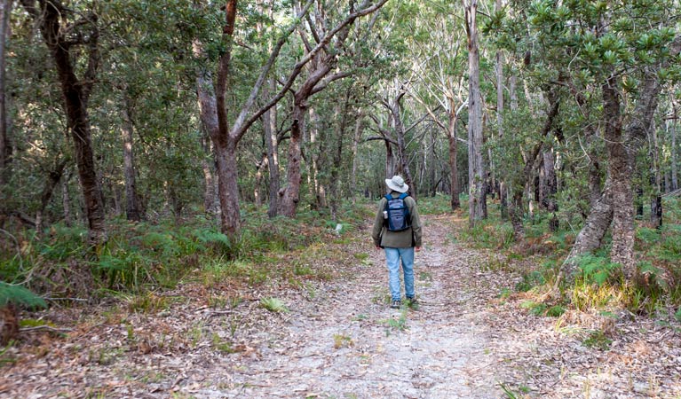 Narrawallee National Park. Photo: Michael van Ewijk &copy; DPIE