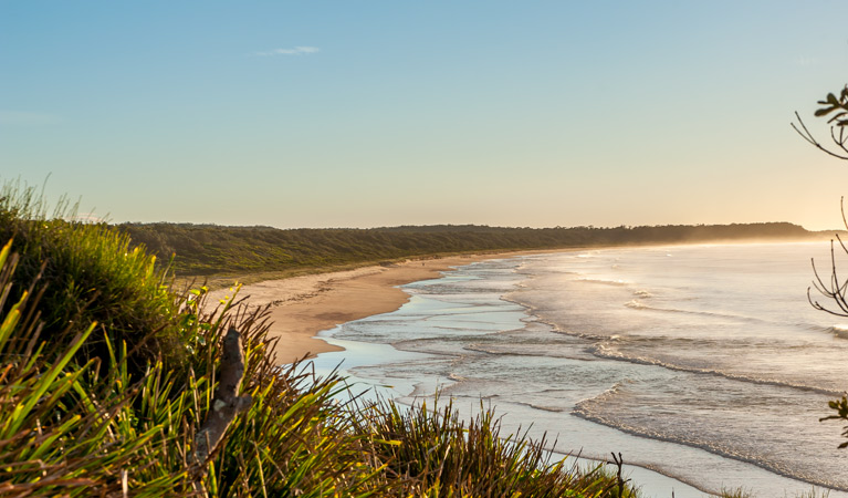 Narrawallee National Park. Photo: Michael van Ewijk &copy; DPIE