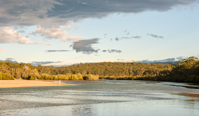 Narrawallee National Park. Photo: Michael van Ewijk &copy; DPIE