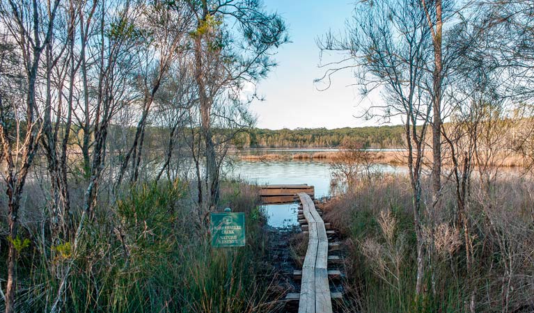 Pattimores Lagoon, Narrawallee National Park. Photo: Michael van Ewijk &copy; OEH