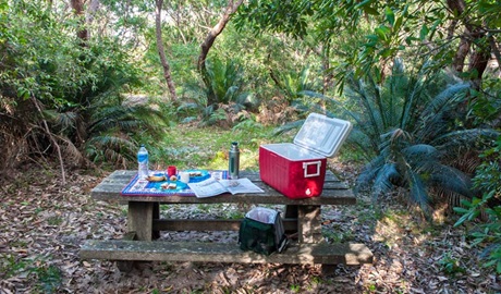 Conjola Beach picnic area, Narrawallee National Park. Photo: Michael van Ewijk &copy; OEH