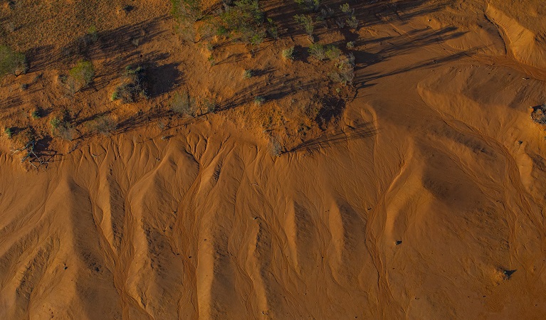 An arid environment, Narriearra Caryapundy Swamp National Park. Photo: Joshua Smith &copy;DPIE