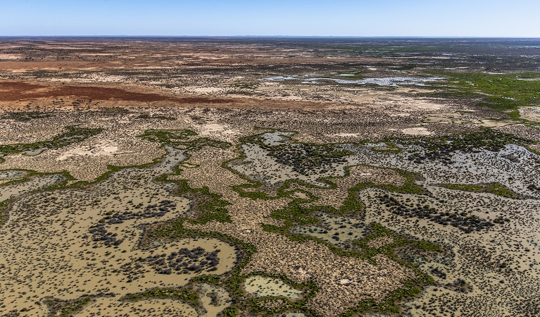 Caryapundy Swamp, Narriearra Caryapundy Swamp National Park. Photo: Joshua Smith &copy;DPIE