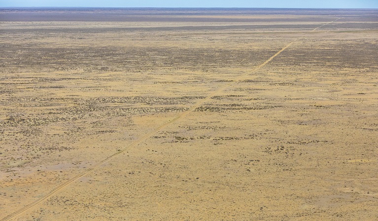 A road through Narriearra Station, Narriearra Caryapundy Swamp National Park. Photo: Joshua Smith &copy;DPIE