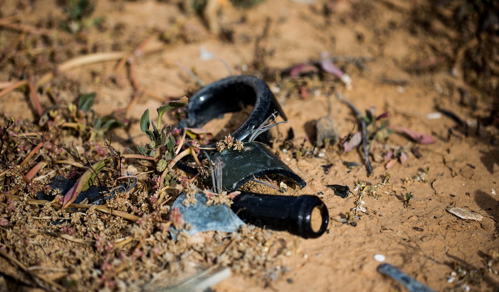 Bottle remains from the Whittabrinnah Hotel, Narriearra Caryapundy Swamp National Park. Photo: Courtney Davies &copy; DPE