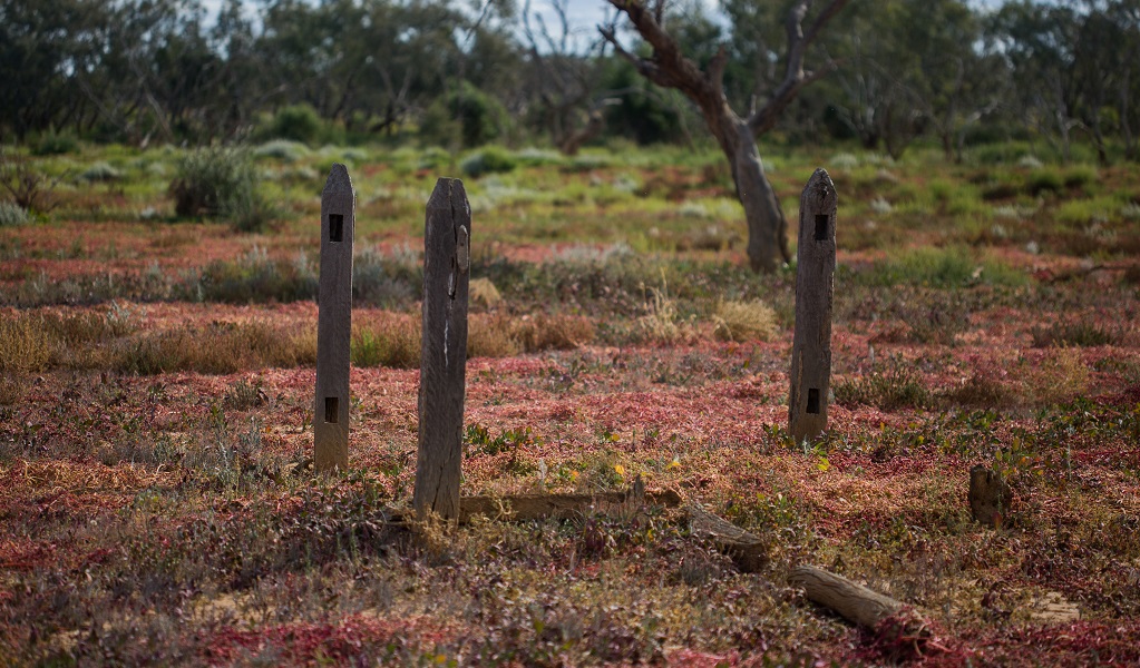 Wooden posts marking a burial plot, Whittabrinnah Hotel precinct, Narriearra Caryapundy Swamp National Park. Photo: Courtney Davies &copy; DPE