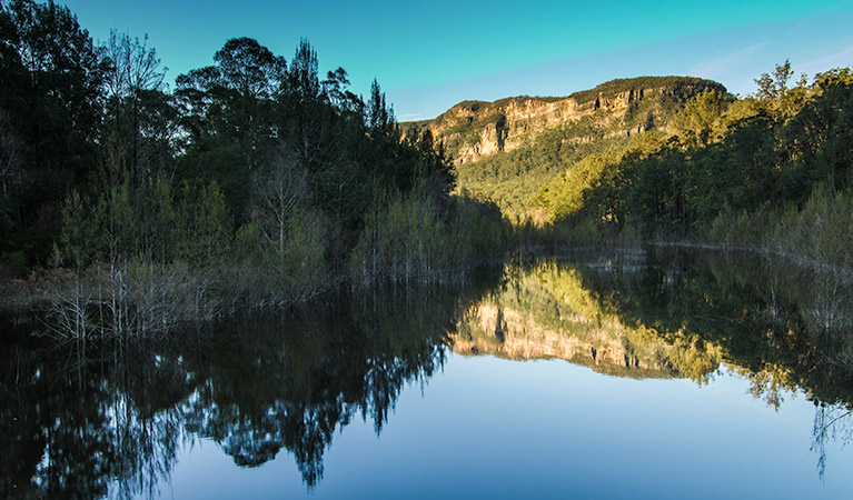 Reflections on the river, Nattai National Park. Photo: John Spencer &copy; DPIE