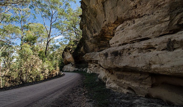 World Heritage Drive, Nattai National Park. Photo: John Spencer &copy; DPIE