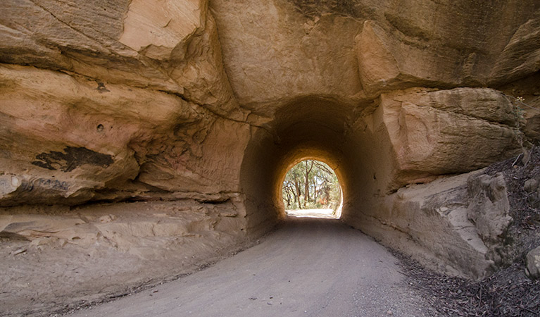 World Heritage Drive, Nattai National Park. Photo: Johh Spencer