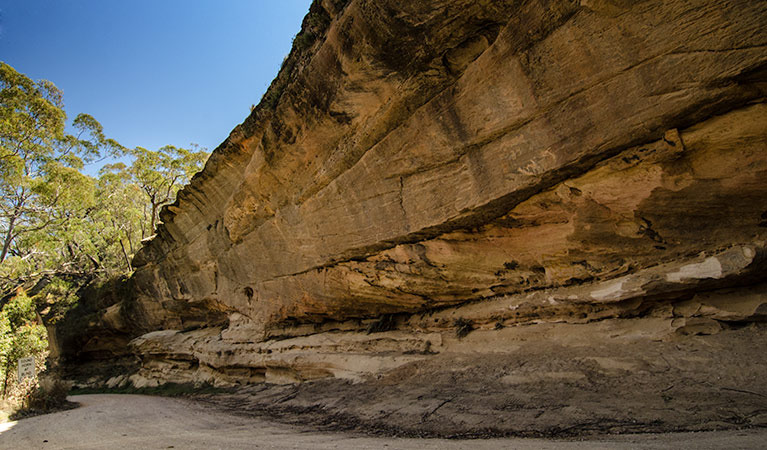 World Heritage Drive, Nattai National Park. Photo: Johh Spencer