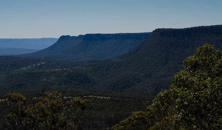 World Heritage Drive, Nattai National Park. Photo: Johh Spencer