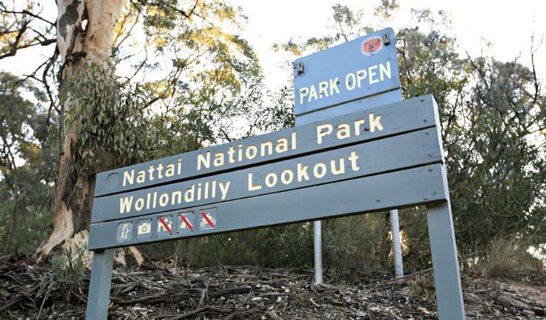 Wollondolly lookout, Nattai National Park. Photo &copy; Rosie Nicolai