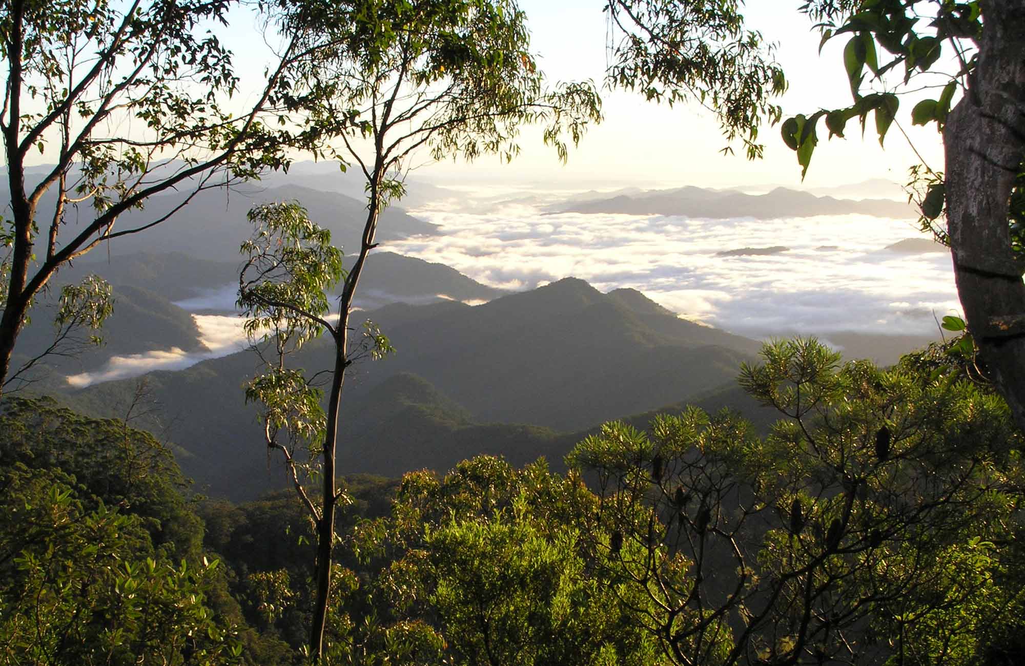 The Residence, New England National Park. Photo: Barbara Webster/NSW Government