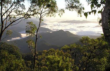 The Residence, New England National Park. Photo: Barbara Webster/NSW Government