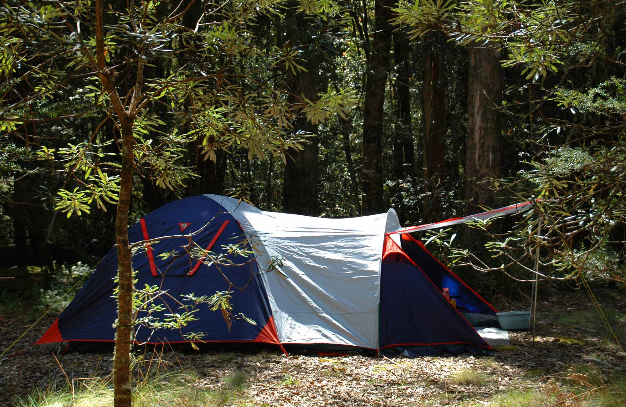 Thungutti Campground, New England National Park. Photo: Barbara Webster/NSW Government