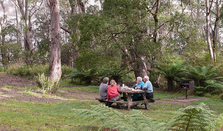 Banksia Point picnic area, New England National Park. Photo: H Clark