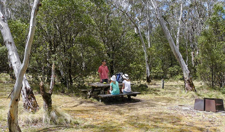 Berarngutta picnic area, New England National Park. Photo: Barbara Webster