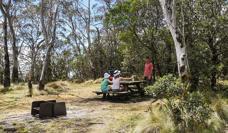 Berarngutta picnic area, New England National Park. Photo: Barbara Webster