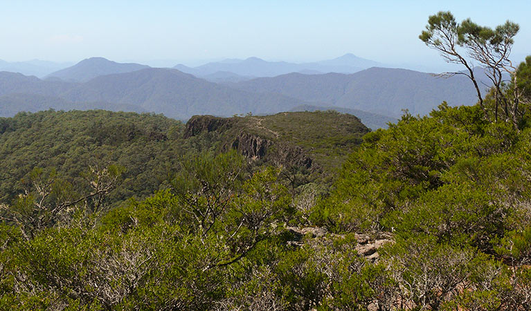 Lyrebird walking track, New England National Park. Photo &copy; Helen Clark