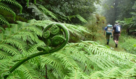 New England Wilderness walk, New England National Park. Photo &copy; Barbara Webster