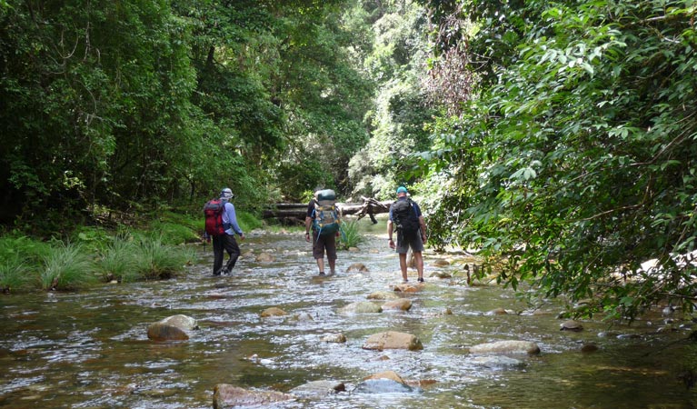 New England Wilderness walk, New England National Park. Photo &copy; Barbara Webster