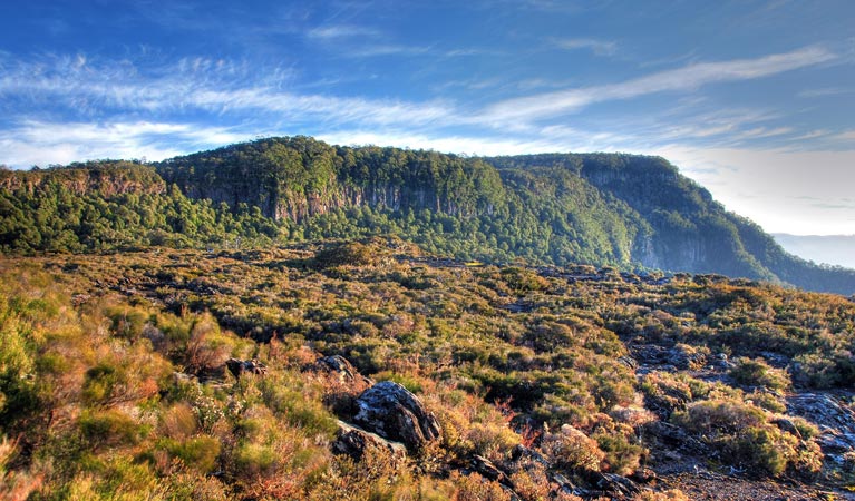 Point lookout from Wrights lookout, New England National Park. Photo: Shane Ruming/OEH